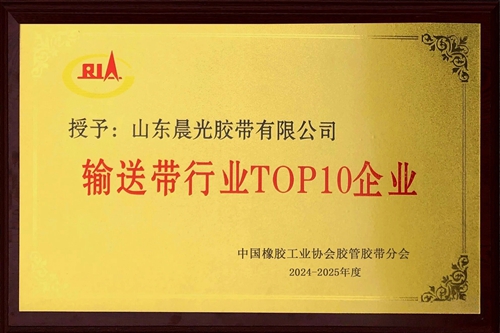 2025年輸送帶行業十強企業